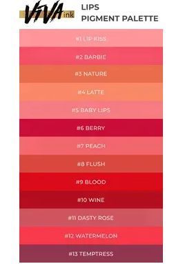 Viva Pigment pro Tetov&aacute;n&iacute; Lips #11 Dasty Růže, 6 Ml И0000028183 foto