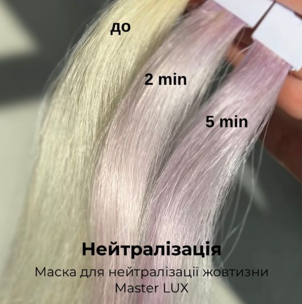 Master LUX Professional Anti-yellow Mask &ndash; Maska pro neutralizaci žlut&eacute;ho odst&iacute;nu, 1000 ml И0000029123 foto