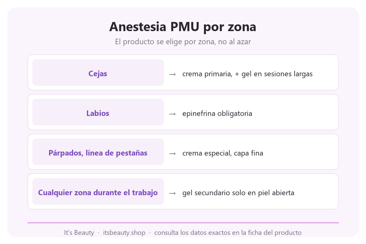 Infografía: anestesia PMU por zona. Cejas, crema primaria, gel si hace falta. Labios, epinefrina obligatoria. Párpados y línea de pestañas, crema especial, capa fina. Cualquier zona durante el trabajo, gel secundario solo en piel abierta