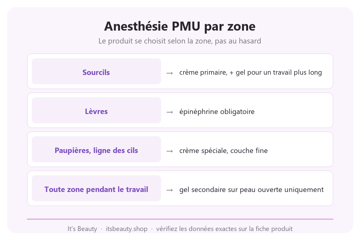 Infographie : anesthésie PMU par zone. Sourcils, crème primaire, gel si besoin. Lèvres, épinéphrine obligatoire. Paupières et ligne des cils, crème spéciale, couche fine. Toute zone pendant le travail, gel secondaire sur peau ouverte uniquement